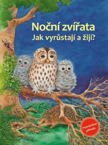 Noční zvířata - Friederun Reichenstetterová