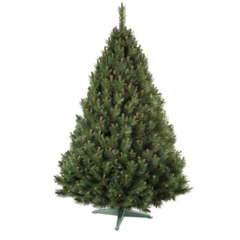 Nohel 9141 Erdeifenyő karácsonyfa, 180 cm, 180 cm