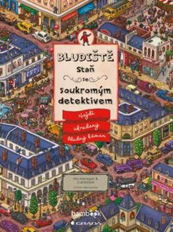 Bludiště Staň se soukromým detektivem - Najdi ukradený bludný kámen - Hiro Kamigaki, IC4DESIGN