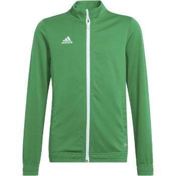 adidas ENTRADA 22 TRACK JACKET Juniorská fotbalová mikina, zelená, velikost