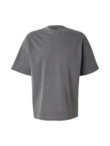 Carhartt WIP Póló 'Bait Shack'  sötétszürke