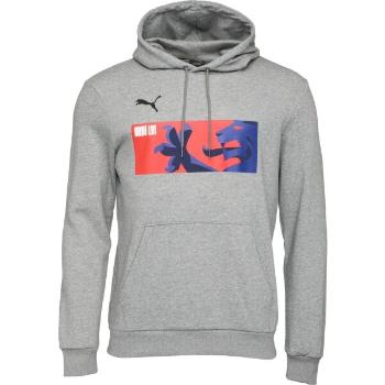 Puma HOODIE Pánská mikina, šedá, velikost