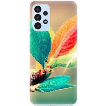 iSaprio Autumn 02 pro Samsung Galaxy A13 (aut02-TPU3-A13)