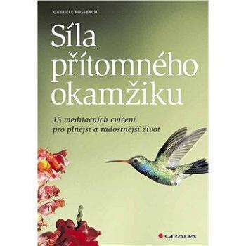 Síla přítomného okamžiku (978-80-247-5160-3)