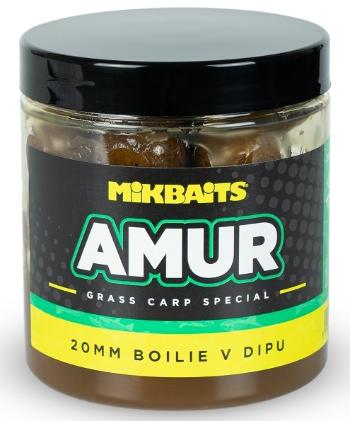 Mikbaits boilie v dipu amur range 250 ml - 20 mm