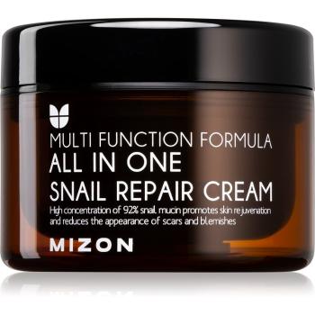 Mizon Multi Function Formula  Snail regenerační krém s filtrátem hlemýždího sekretu 92% 120 ml