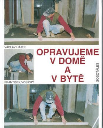 Opravujeme v domě a bytě (Defekt) - Václav Hájek, František Vošický