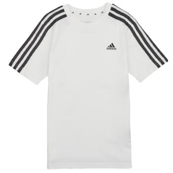 adidas  3S TEE  Tričká s krátkym rukávom Biela