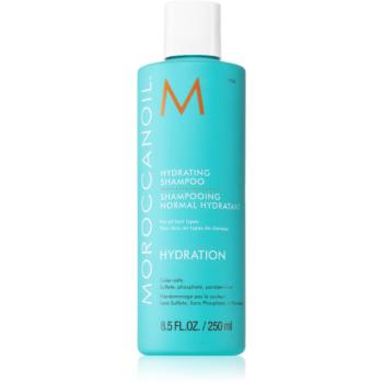 Moroccanoil Hydration hydratační šampon s arganovým olejem 250 ml