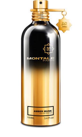 Montale Amber Musk - EDP 2 ml - vzorek s rozprašovačem