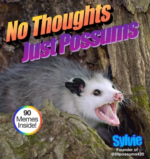 No Thoughts Just Possums - Sylvie Sylvie