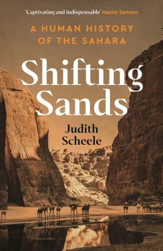 Shifting Sands - Judith Scheele