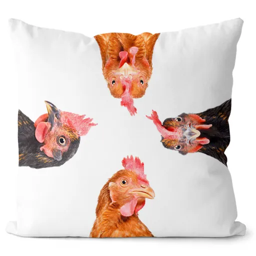 Polštář Slepice (Velikost: 55 x 55 cm)