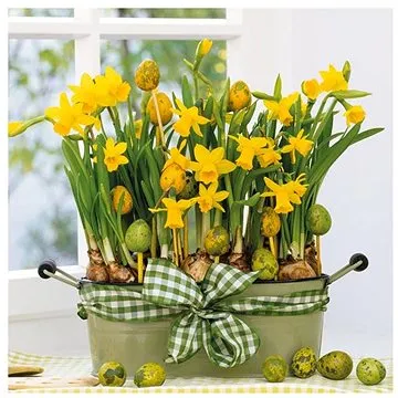 Goba Ubrousky Narcisky a vajíčka 3400085 (3400085)