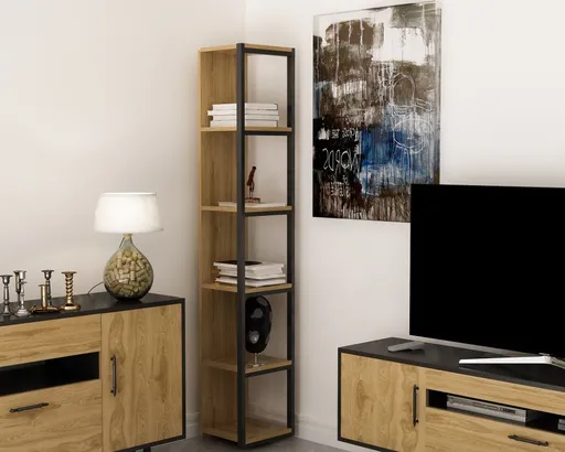 Knihovna Texas - Black, Ud