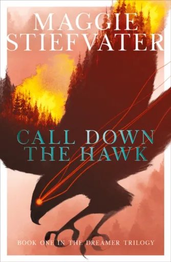 Call Down the Hawk: The Dreamer Trilogy #1 - Maggie Stiefvaterová
