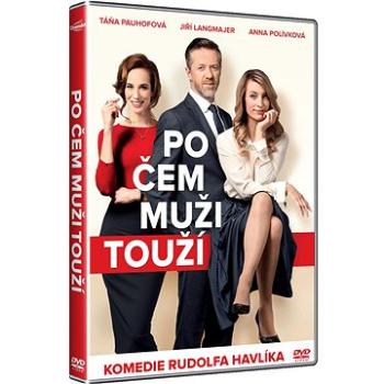 Po čem muži touží - DVD (D008392)