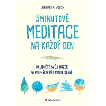 5minutové meditace na každý den: Uklidněte svůj mozek za pouhých pět minut denně! (978-80-271-3373-4)