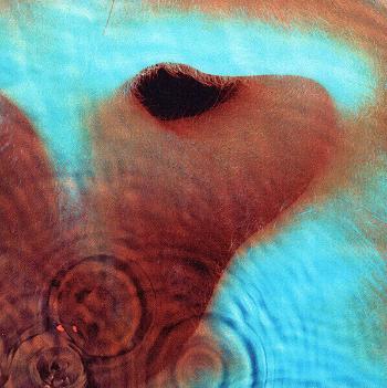 Pink Floyd - Meddle (Reissue) (Remastered) (180g) (LP)
