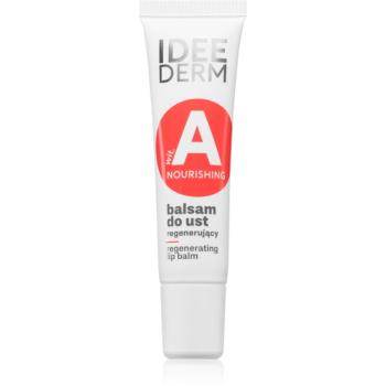 Ideepharm Idee Derm Vitamin A regenerační balzám na rty 12 ml