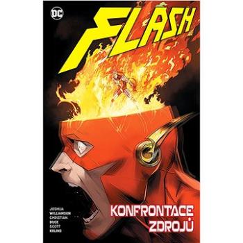 Flash Konfrontace zdrojů (978-80-7679-099-5)