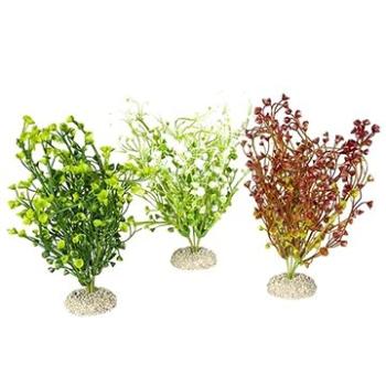 Ebi Aqua Della Bacopa M mix barev 25 cm 1 ks (4047059458167)