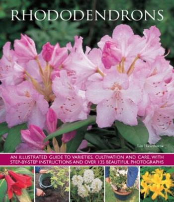 Rhododendrons - Hawthorne Lin