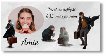 Personal Narozeninový banner s fotkou - Fantastické zvěře Rozměr banner: 130 x 260 cm