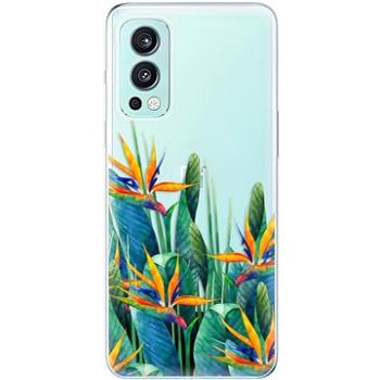 iSaprio Exotic Flowers pro OnePlus Nord 2 5G (exoflo-TPU3-opN2-5G)