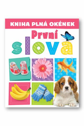 Kniha plná okének  První slova  Andrew Burgess, Pooja Desai