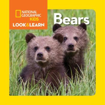 Look and Learn: Bears - National Geographic