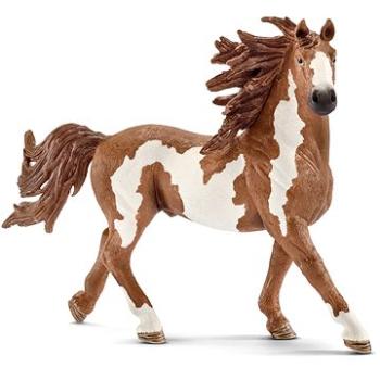 Schleich Hřebec Pinto 13794 (4005086137943)