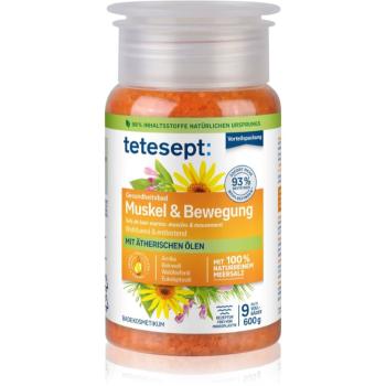 Tetesept Sea Bath Salt Muscles And Movement koupelová sůl 600 g