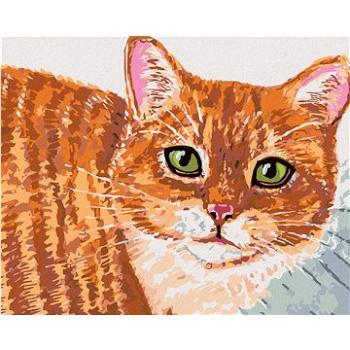 Diamondi - Diamantové malování - BÉŽOVÁ KOČKA A ZELENÉ OČI, 40x50 cm, bez rámu a bez vypnutí plátna (604685A)