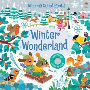 Winter Wonderland Sound Book - Sam Taplin