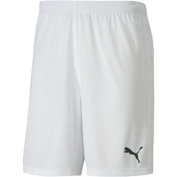 Puma TEAM GOAL 23 KNIT SHORTS Pánské kraťasy, bílá, velikost