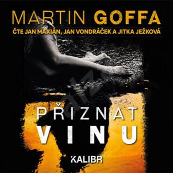 Přiznat vinu - Martin Goffa - audiokniha