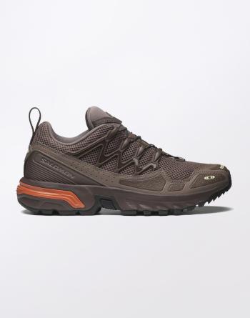 Salomon ACS + OG Iron/Bracken/Autumn Glaze 43 1/3