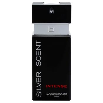 Jacques Bogart Silver Scent Intense toaletní voda pro muže 100 ml