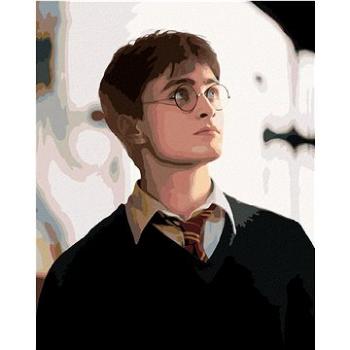 Portrét Harry Potter, 40×50 cm, bez rámu a bez vypnutí plátna (6067050)