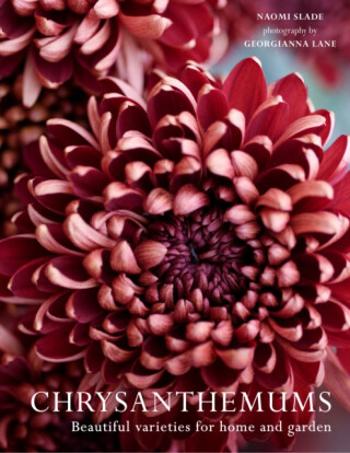 Chrysanthemums - Georgianna Lane, Naomi Slade