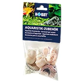 Hobby Sea Shells Set L 5 ks (4011444402240)