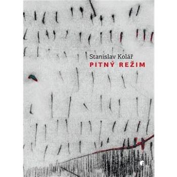 Pitný režim (978-80-87485-76-7)