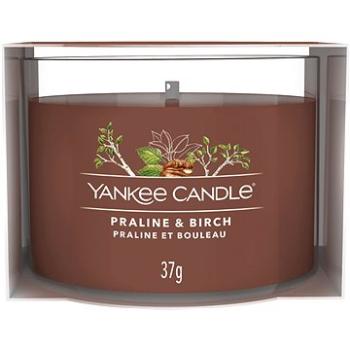 YANKEE CANDLE Praline & Birch 37 g (5038581125701)