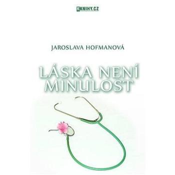 Láska není minulost (978-80-880-6160-1)