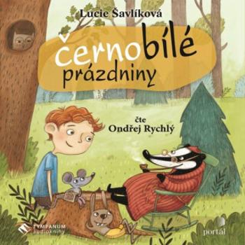 Černobílé prázdniny - Lucie Šavlíková - audiokniha