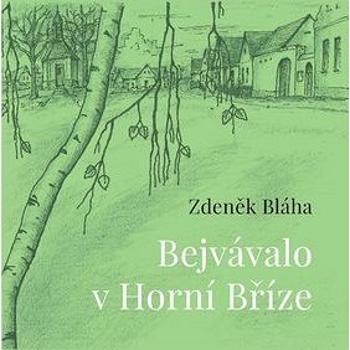 Bejvávalo v Horní Bříze (978-80-7211-573-0)