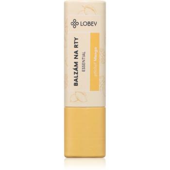 Lobey Skin Care Lip Balm balzám na rty odstín Mango 5 g