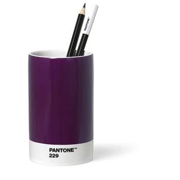 PANTONE porcelánový, Aubergine 229 (101490229)