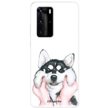 iSaprio Malamute 01 pro Huawei P40 Pro (mal01-TPU3_P40pro)